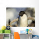 Close-up of Adelie Penguin standing by nest Wall Mural