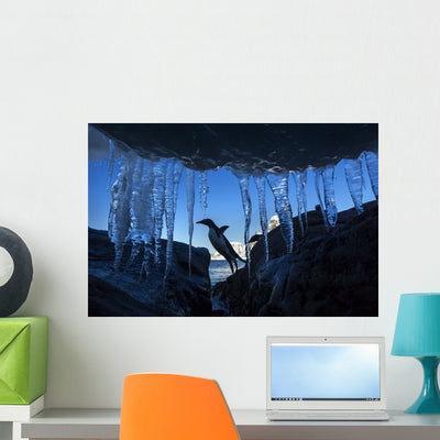 Gentoo Penguin Leaping across Wall Mural shown on a wall
