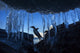 Gentoo Penguin leaping across rocks beneath wall of icicles Wall Mural