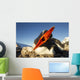 Gentoo Penguin pecks at camera lens while nesting Wall Mural