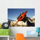 Gentoo Penguin pecks at camera lens while nesting Wall Mural