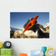 Gentoo Penguin pecks at camera lens while nesting Wall Mural
