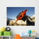 Gentoo Penguin pecks at camera lens while nesting Wall Mural