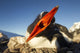 Gentoo Penguin pecks at camera lens while nesting Wall Mural