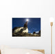 Flash illuminated portrait of Gentoo Penguin Wall Mural