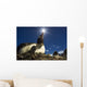 Flash illuminated portrait of Gentoo Penguin Wall Mural