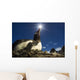 Flash illuminated portrait of Gentoo Penguin Wall Mural