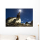 Flash illuminated portrait of Gentoo Penguin Wall Mural