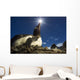 Flash illuminated portrait of Gentoo Penguin Wall Mural