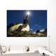 Flash illuminated portrait of Gentoo Penguin Wall Mural
