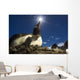 Flash illuminated portrait of Gentoo Penguin Wall Mural