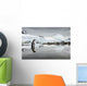 Gentoo Penguin standing in shallow water along glacial coastline Wall Mural