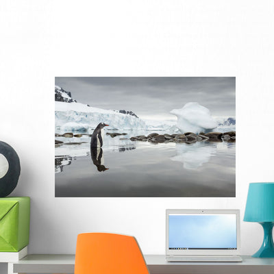 Gentoo Penguin Standing Shallow Wall Mural shown on a wall
