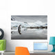 Gentoo Penguin standing in shallow water along glacial coastline Wall Mural