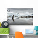 Gentoo Penguin standing in shallow water along glacial coastline Wall Mural