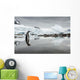 Gentoo Penguin standing in shallow water along glacial coastline Wall Mural