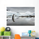 Gentoo Penguin standing in shallow water along glacial coastline Wall Mural