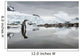 Gentoo Penguin standing in shallow water along glacial coastline Wall Mural