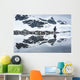 Gentoo Penguin reflected in shallow water along glacial coastline Wall Mural