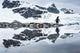 Gentoo Penguin reflected in shallow water along glacial coastline Wall Mural