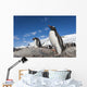 Gentoo Penguins standing on bare rock in snow-covered rookery Wall Mural