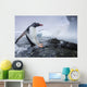 Gentoo Penguin leaping from water onto shoreline Wall Mural