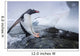 Gentoo Penguin leaping from water onto shoreline Wall Mural