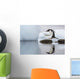 Gentoo Penguin leaps between stones Wall Mural