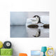 Gentoo Penguin leaps between stones Wall Mural