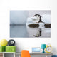 Gentoo Penguin leaps between stones Wall Mural