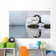 Gentoo Penguin leaps between stones Wall Mural