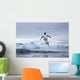 Gentoo Penguins leaping from water along Cuverville Island shoreline Wall Mural