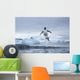 Gentoo Penguins leaping from water along Cuverville Island shoreline Wall Mural