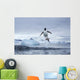 Gentoo Penguins leaping from water along Cuverville Island shoreline Wall Mural