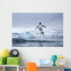 Gentoo Penguins leaping from water along Cuverville Island shoreline Wall Mural