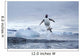 Gentoo Penguins leaping from water along Cuverville Island shoreline Wall Mural