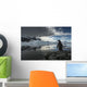 Silhouette of Gentoo Penguin standing on rocky shoreline Wall Mural