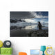 Silhouette of Gentoo Penguin standing on rocky shoreline Wall Mural