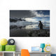Silhouette of Gentoo Penguin standing on rocky shoreline Wall Mural
