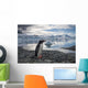 Gentoo Penguin standing on rocky shoreline along Errera Channel Wall Mural