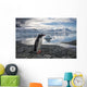 Gentoo Penguin standing on rocky shoreline along Errera Channel Wall Mural