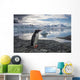 Gentoo Penguin standing on rocky shoreline along Errera Channel Wall Mural