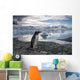 Gentoo Penguin standing on rocky shoreline along Errera Channel Wall Mural