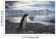 Gentoo Penguin standing on rocky shoreline along Errera Channel Wall Mural
