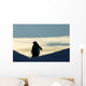 Silhouette of Gentoo Penguin standing at dusk Wall Mural