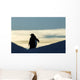 Silhouette of Gentoo Penguin standing at dusk Wall Mural