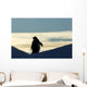 Silhouette of Gentoo Penguin standing at dusk Wall Mural