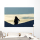Silhouette of Gentoo Penguin standing at dusk Wall Mural