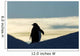 Silhouette of Gentoo Penguin standing at dusk Wall Mural