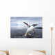 Gentoo Penguin leaping from ocean onto rocky shoreline near rookery Wall Mural